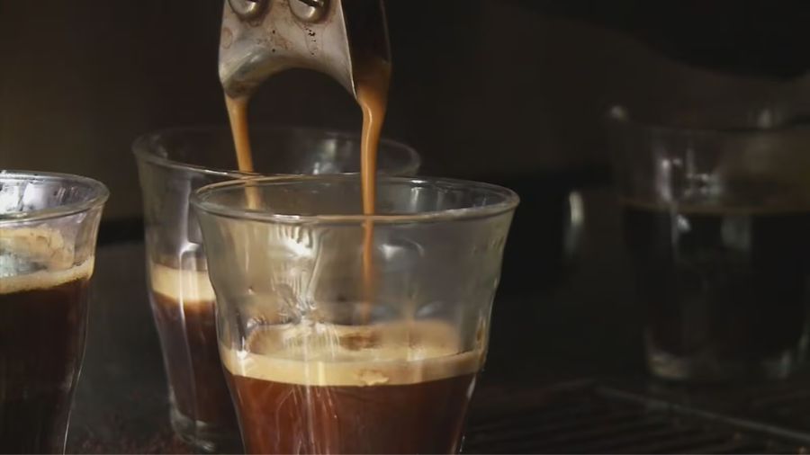 bikini barista wage theft lawsuit...