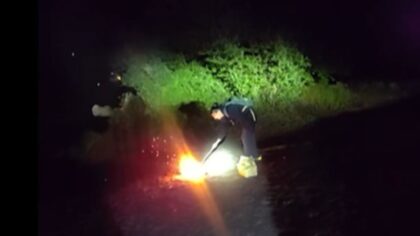 Woman allegedly burning Social Security cards tased, arrested for DUI after pursuit in Thurston County