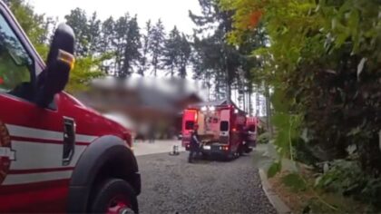 gig harbor monoxide leak...