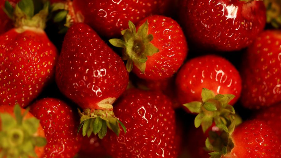olympia berry stand close...