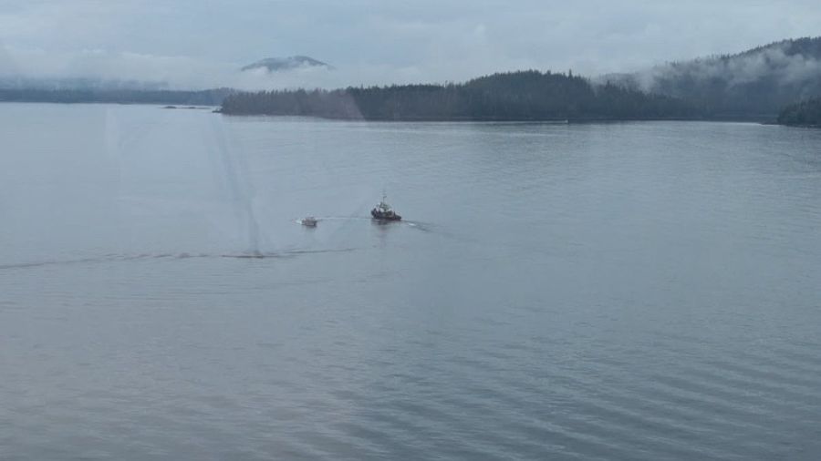 dead whale cruise ship alaska...