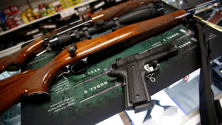 Idaho vote state gun...