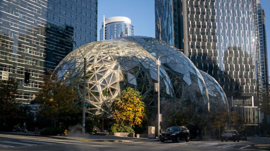 amazon spheres...