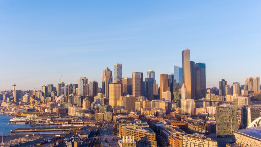 downtown seattle (1)...