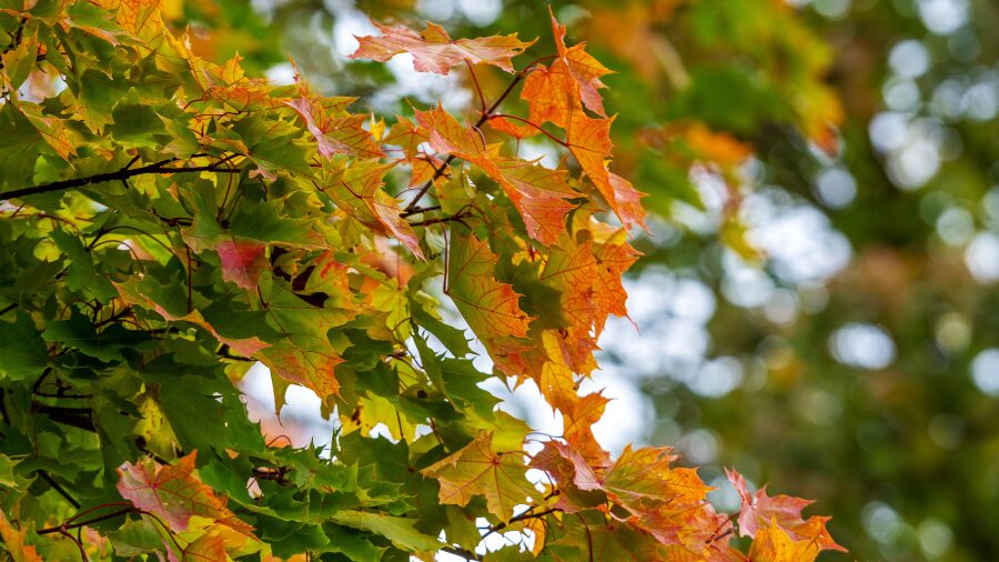 fall equinox...