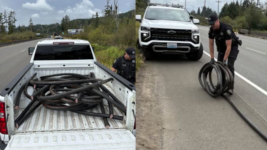 Two alleged wire thieves caught in the act on Highway 12 near Aberdeen. Authorities estimate they d...