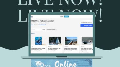 orca whales auction...