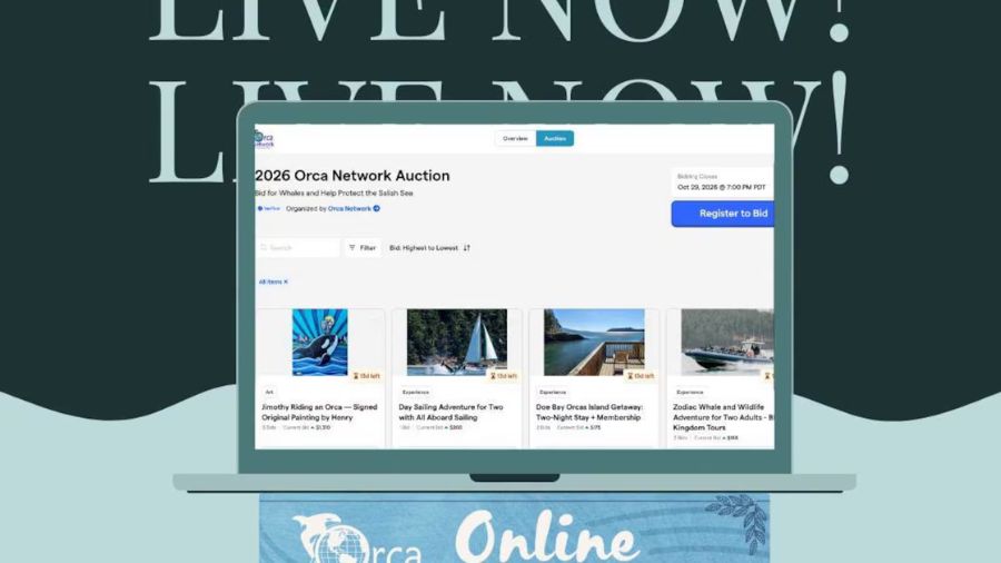 orca whales auction...