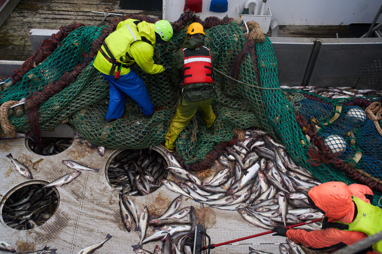 Crew members work on deck after hauling in a catch aboard the F/V Progress in the Bering Sea off th...