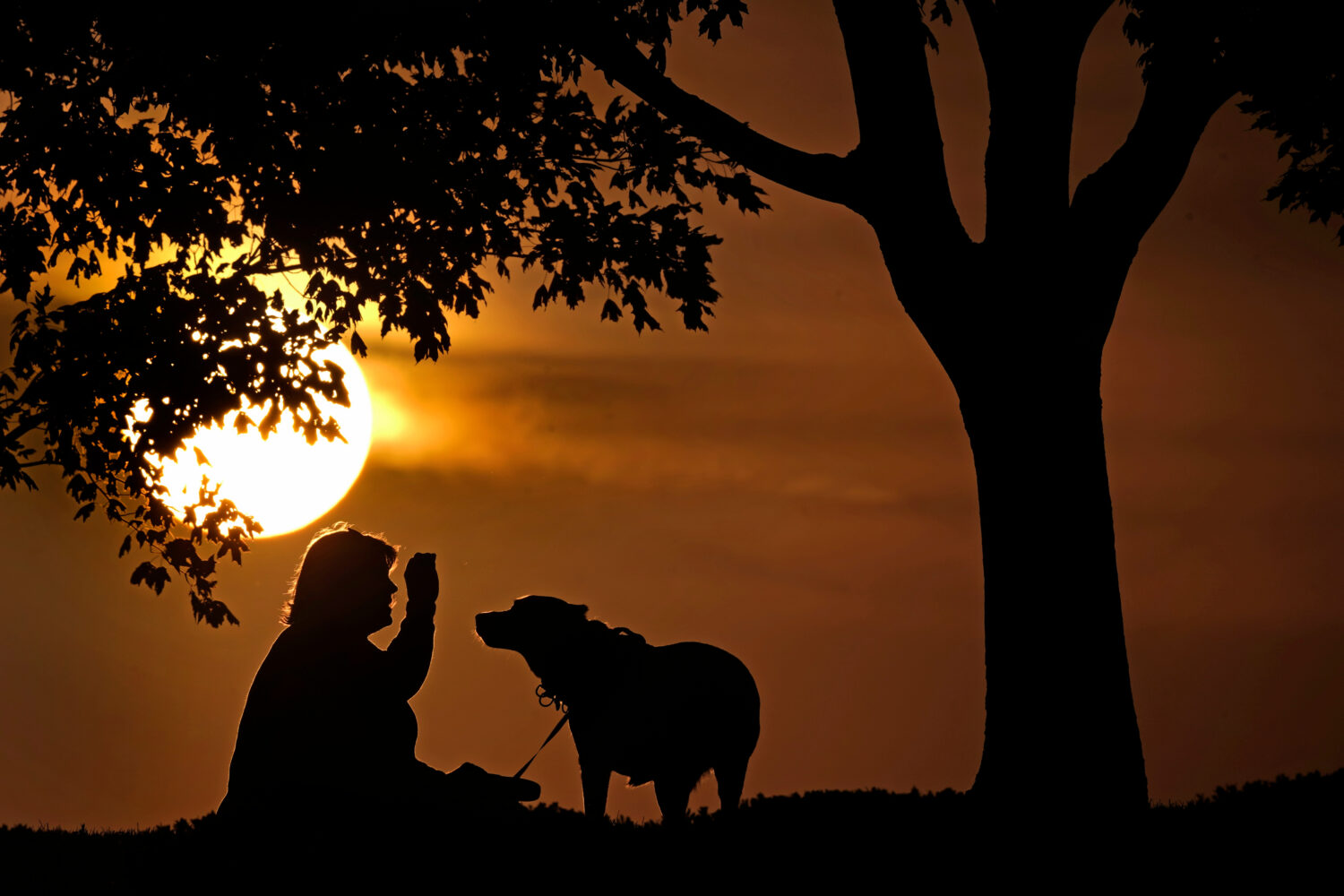 FILE - A woman plays with her dog at sunset, Saturday, Nov. 6, 2021, at a park in Kansas City, Mo. ...