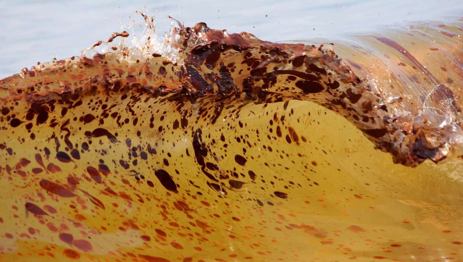 FILE - Crude oil from the Deepwater Horizon oil spill washes ashore in Orange Beach, Ala., June 12,...