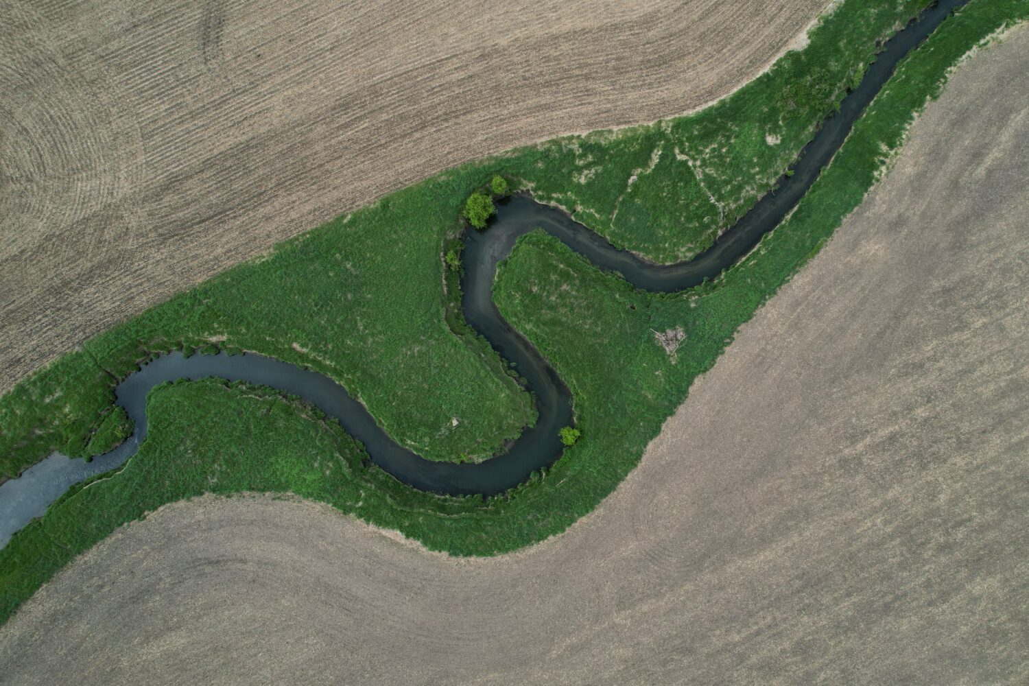 FILE - A stream cuts through a farm field, May 7, 2026, near Marshalltown, Iowa. (AP Photo/Brittany...