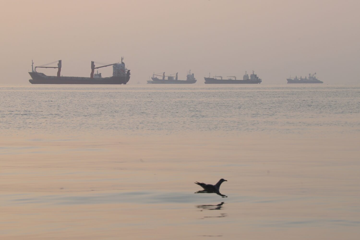 A bird flies low over the water as cargo ships lie at anchor in the Strait of Hormuz off Bandar Abb...
