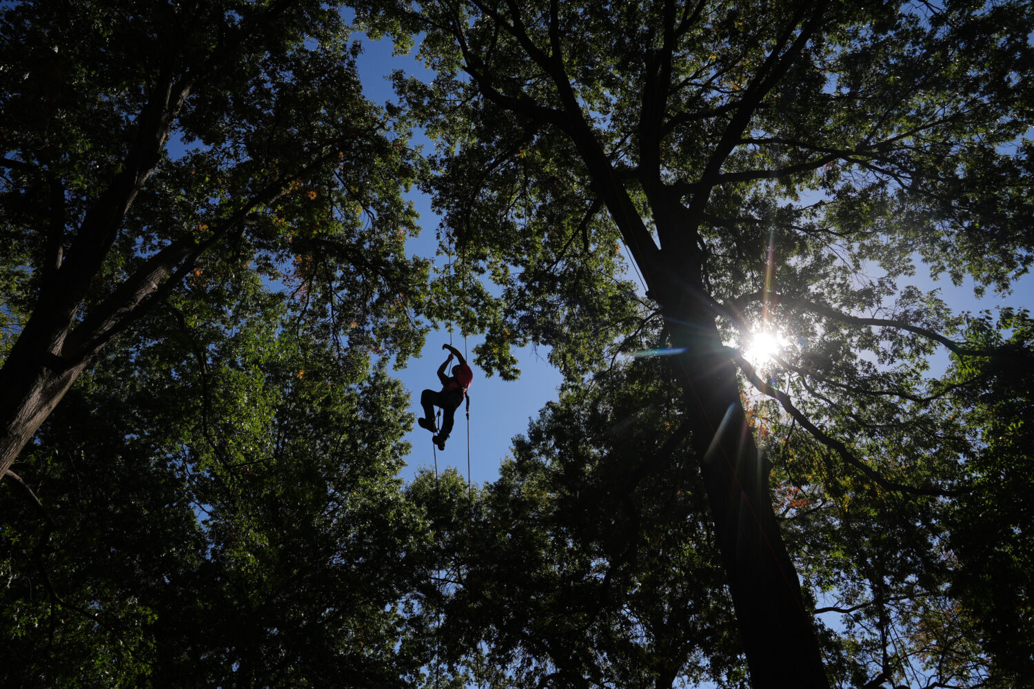 Joseph Shultz competes in a timed event known as the Ascent as he goes up against nearly 100 profes...