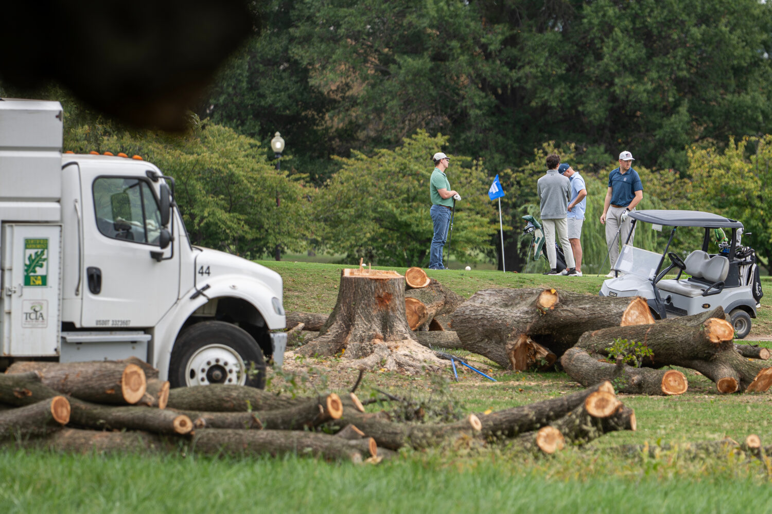 Golfers pass trees recently cut down by the National Park Service, at East Potomac Golf Links, Satu...