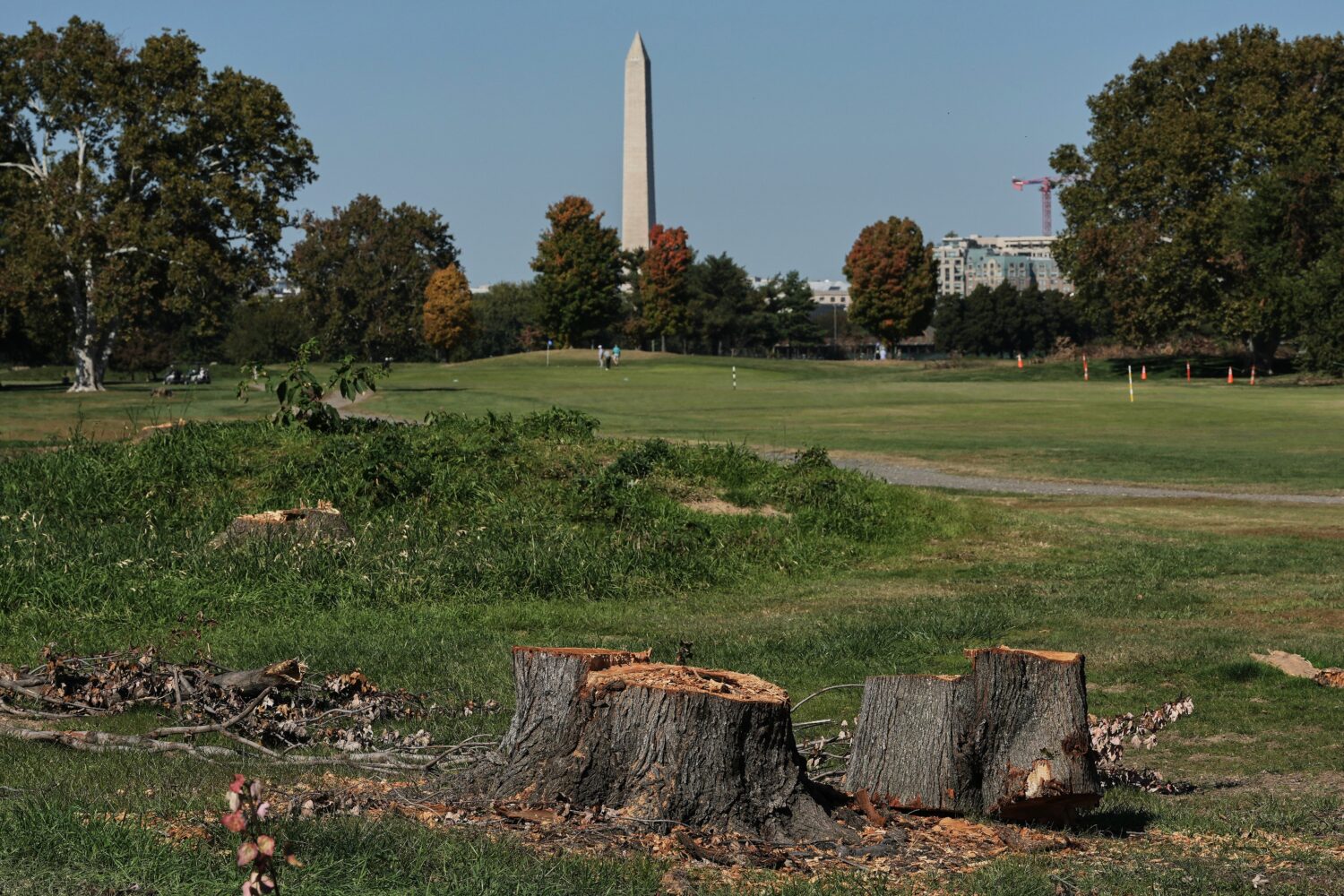 The Washington Monument is seen past stumps of removed trees at East Potomac Park Golf Course, Mond...