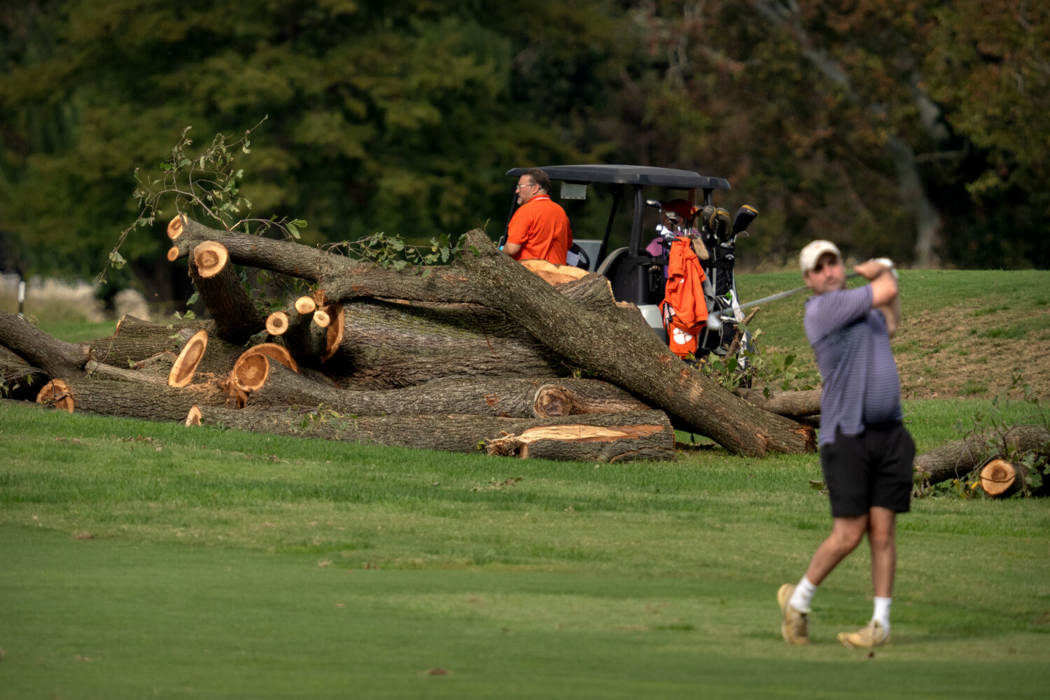 Golfers hit from the fairway near log sections cut from trees at the East Potomac Golf Links, Monda...