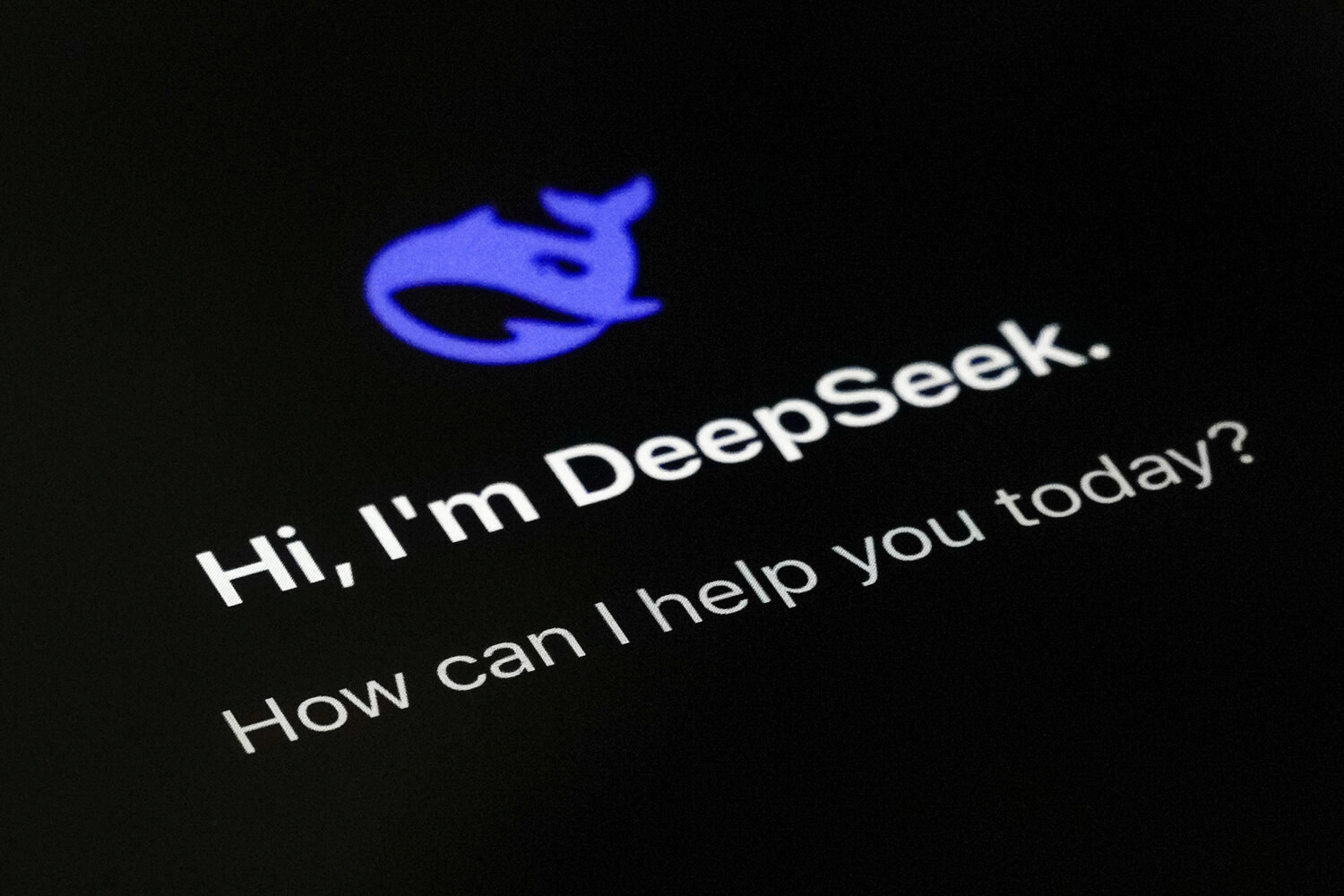 FILE - The smartphone apps DeepSeek page is seen on a smartphone screen in Beijing, Jan. 28, 2025. ...