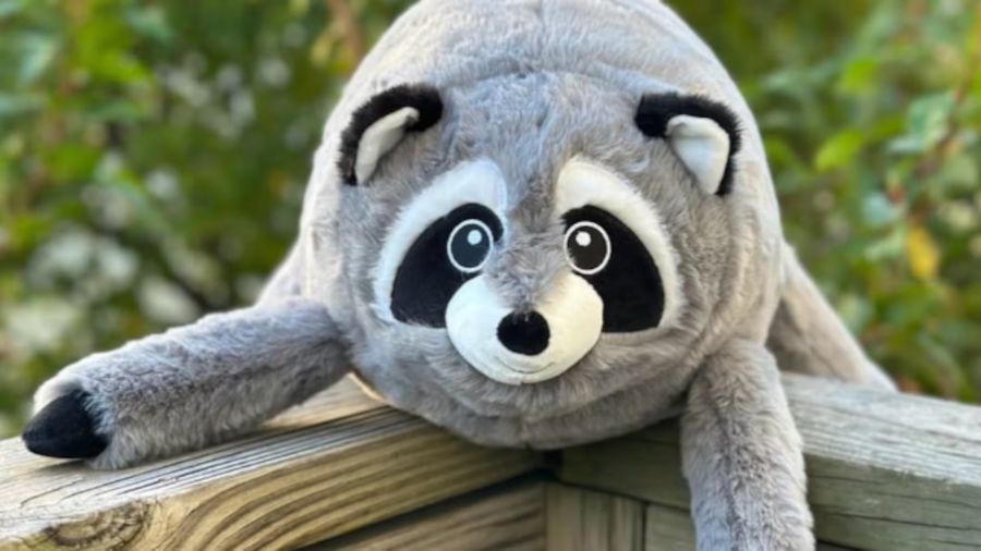 jimothy costco plushie...