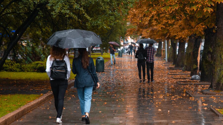 rain weather...