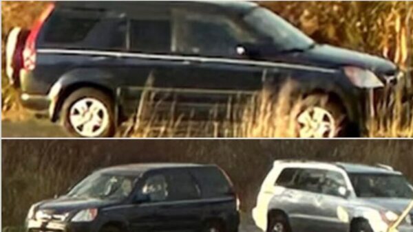 Test Drive Enents 82-year-old man assaulted and car stolen during Whatcom County test ...
