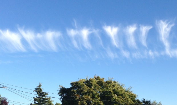 These odd clouds observed over the Seattle-area late Tuesday were not from a jet contrail or aliens...