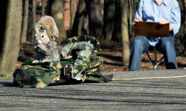 Dori says if the government shutdown means no money will be spent on roboquirrels, he’s all f...