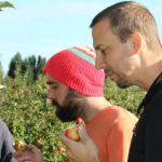 The partners in the Seattle Cider Co. sample fresh apples in a Mount Vernon orchard.
