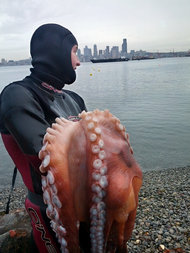 A giant octopus drops out of the scoreboard before the start of