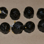 Authorities display some of the black tar heroin disguised as chocolate seized in a recent sting operation.