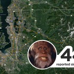 Huge footprints, a smell "worse than death" and sightings off logging roads have all been reported among the 44 logged encounters with a Bigfoot creature in King County.

On August 5, 2009 as a couple was returning to Seattle via Amtrak's Empire Builder, a man caught a glimpse of the creature he believed to be Sasquatch. About a mile west of the Cascade tunnel, the man saw the 8 to 9-foot tall figure outside the train. He reported that while it was just a "glimpse" he was positive of what he saw, staring out into a remote, desolate, and wild area.

Read the reports from King County here.