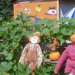 Enjoy the picnic area and petting zoo for before or after you make your pumpkin selection.

Located at:
15308 52nd Ave W
Edmonds, WA 98026

Find the pumpkin patch online here.
