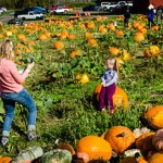 Pick your pumpkin fresh from the field in order to create your perfect jack-o-lantern.

Located at:
10917 Elliott Road
Snohomish, WA 98296

Find the pumpkin patch online here.
