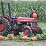 Pick your pumpkin or find one already gathered from the field during the fall festival.

Located at:

28901 NE Carnation Farm Rd
Carnation, WA 98014

 Find the pumpkin patch online here.
