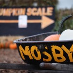 Pick something up from the pumpkin patch then take a trip, or get lost, in the Mosby Farm corn maze.

Located at:
12747-b South East Green Valley Road
Auburn, WA 98092

Find the pumpkin patch online here.
