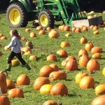 Tractor rides on the weekends - then head out to procure your perfect pumpkin.

Located at:
9229 Day Road E
Bainbridge Island, WA

Find the pumpkin patch online here.