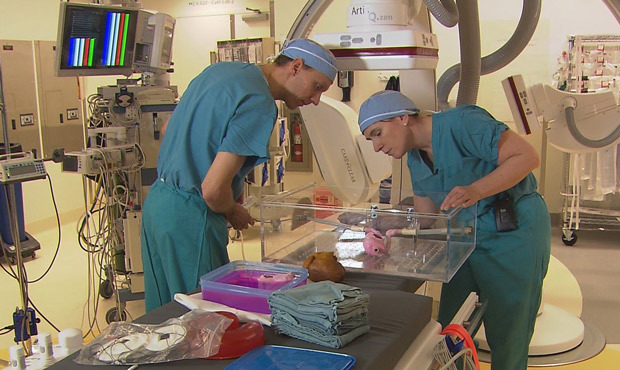 Doctors are using 3D printed heart models to practice delicate surgeries before performing the proc...