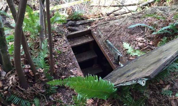 Police, FBI, and ATF agents searched an 8×10 foot bunker off Lake Sammamish Parkway Tuesday mo...