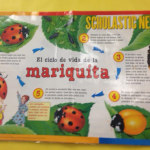 Kids learn about bugs at Puesta Del Sol Elementary School, but they're doing it all in Spanish.