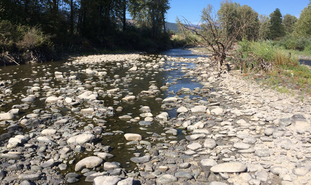 The Teanaway River near Cle Elum is considerably low. (Department of Ecology)...