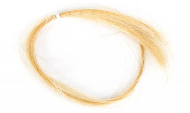 Kurt Cobain’s actual hair, 10 inches of it, up for auction, starting at $4,000.(Photo from Ju...