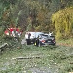 A man died after a tree fell onto his car while driving home from the store in November. 