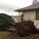 Prairie Electric was busy Dec. 10 after a tornado touched ground in Battle Ground, Wa. They took photos of the damage while they were out on calls. 