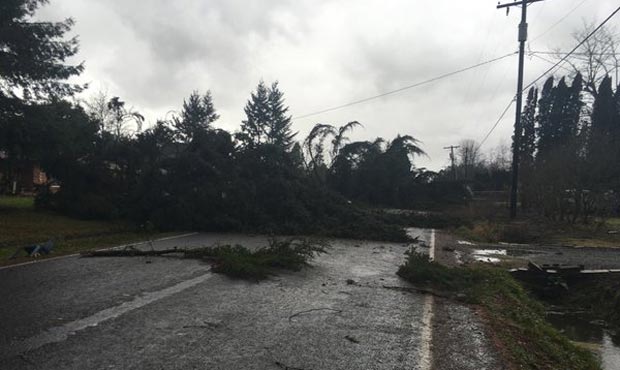 A tornado touched ground in Battle Ground, Wa., damaging 36 homes. (Daniel Berkompas, Twitter)...