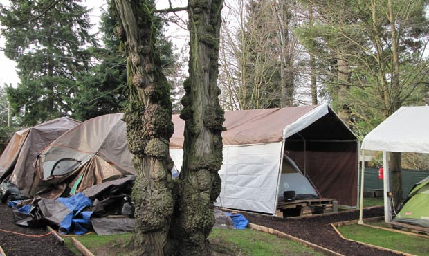 Brad Lancaster’s back yard in Shoreline has been converted into a camp for local homeless res...