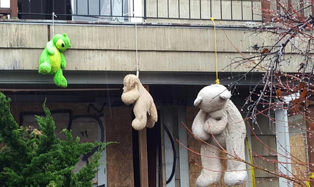 Someone hung teddy bears from a Wallingford house that’s now vacant. Neighbors did not find t...