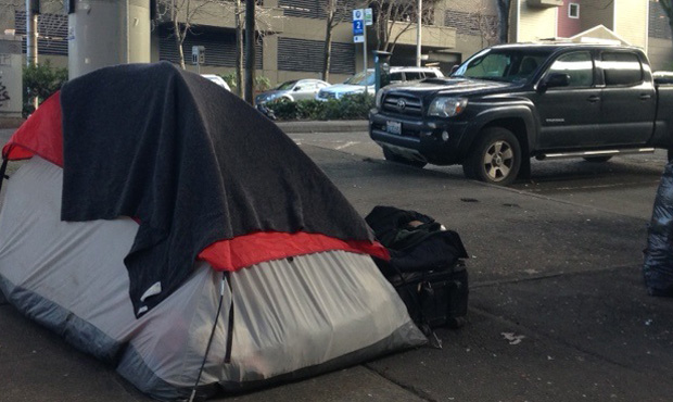 King County Council Member Kathy Lambert has a plan to take on the homeless crisis in the region. B...