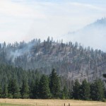 Firefighters struggle to stop a wildfire from spreading on August 14, 2012. The fast-moving Taylor Bridge Fire has burned at least 26,000 acres since it broke out east of Cle Elum Monday, August 13, 2012.