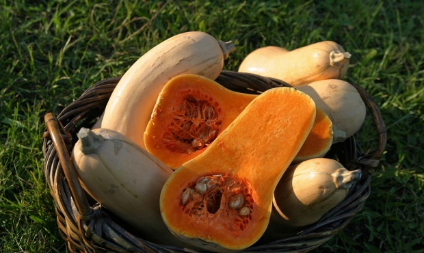 Butternut squash marks the transition to the fall season, and it’s a very versatile food. (Fi...