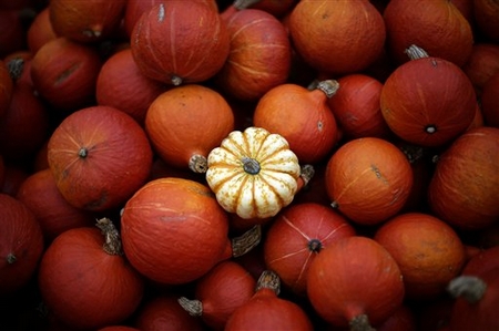 Pumpkin pies, pumpkin soup. Pumpkin says fall more than most any other ingredient. (AP Photo/file)...